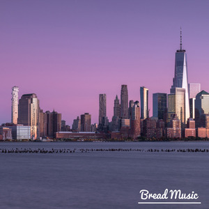 대로를 지나는 차들