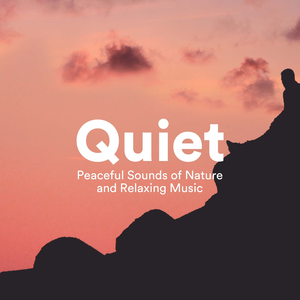 Zen Spa (Shigin Cho Nanagon Zeku)