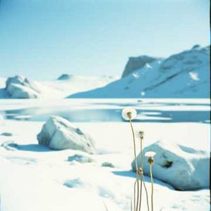 你的世界我来过