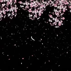 下雨天森林的孤独