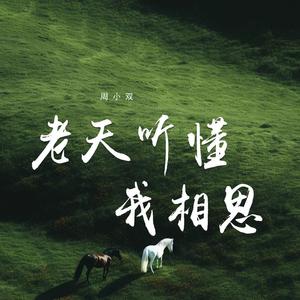 老天听懂我相思