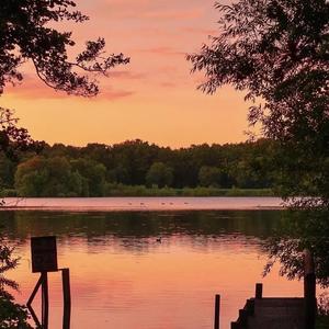 贾如斯念能汀见.