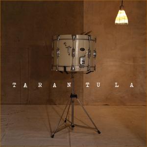 TARANTULA