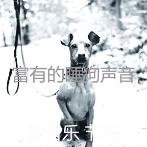 抚慰的幼犬回忆