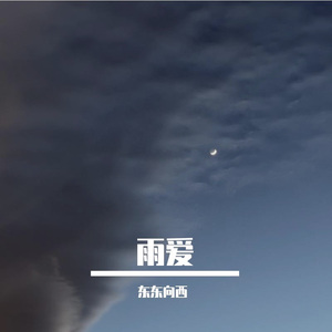 如果可以
