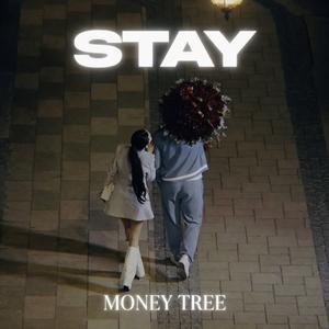 Stay