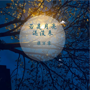 若是月亮还没来