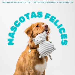 Cachorritos y Perros