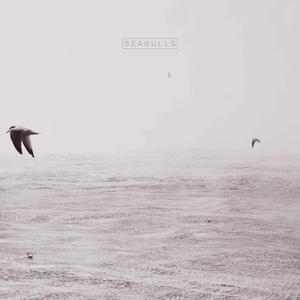 Seagulls