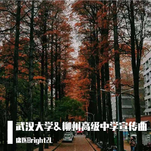 文渊湖畔珞珈山（武汉大学大&柳州高级中学宣讲活动宣传曲)
