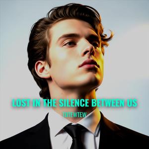 Lost in the Silence Between Us