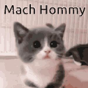 Like I'm Mach Hommy