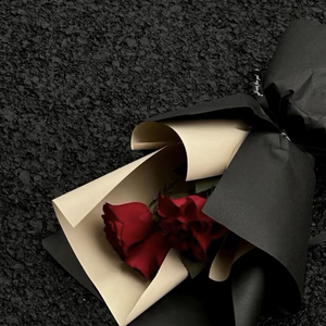 安和桥(回忆杀)