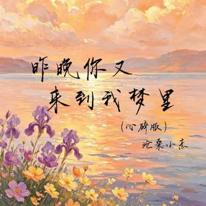 昨晚你又来到我梦里(心碎版)