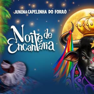 Puxada de Rede