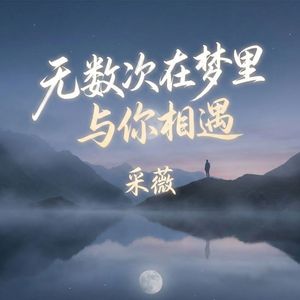 无数次在梦里与你相遇