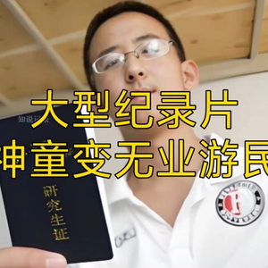 大型纪录片《神童变无业游民》