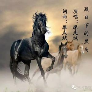 烈日下的黑马