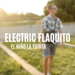 Electric Flaquito