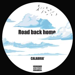 Road back home