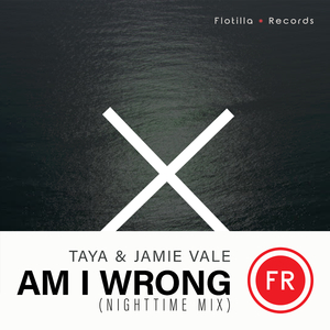 Am I Wrong (Nighttime Extended Mix)