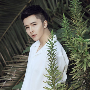 骗自己没爱过你