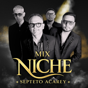 Mix Niche: Mecánico / La Magia de tus Beso / Una Aventura / Hagamos Lo Que Diga El Corazón / Etnia / Cali Ají (En Vivo)