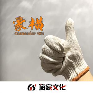 你有什么可豪横的（DJ版）（翻自 Vicetone）