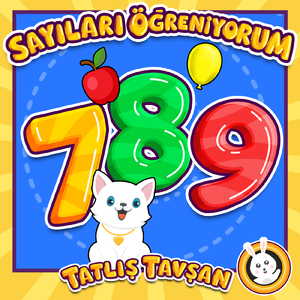 Sayıları Öğreniyorum