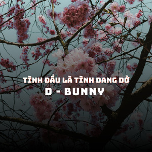 Tình Đầu Là Tình Dang Dở