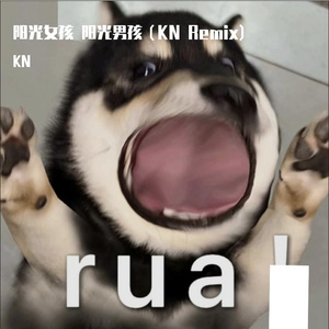 TG4-家有儿女（KN remix）