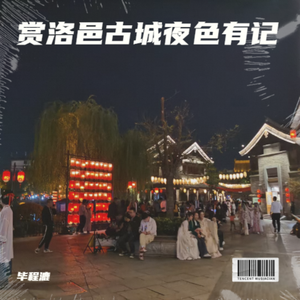 赏洛邑古城夜色有记