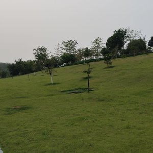 WAV文件_灵魂导航_81901135106357764_1766195052057