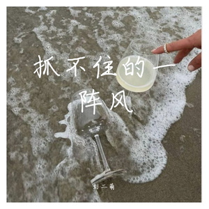 抓不住的一阵风