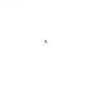 SKYLIT
