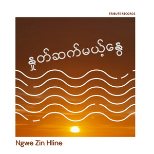 ရင်ခုန်သံ (Live)