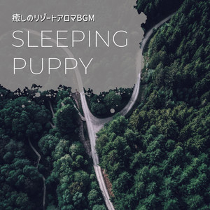 A Prelude to the Sun