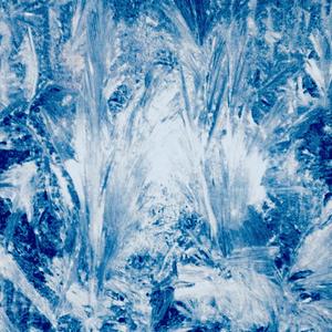 力（prod CityBoy）