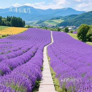 我的眼泪为谁飞 (Cover 小沈阳)