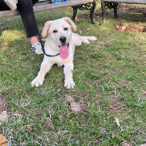 当我举旗在杨帆