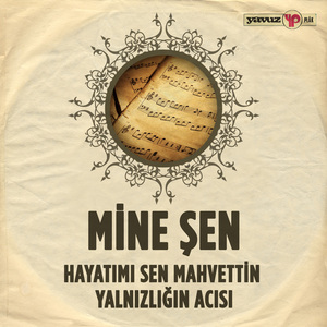 Hayatımı Sen Mahvettin