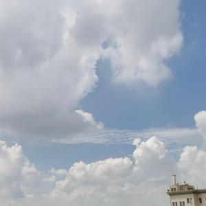 夏日阳台西瓜与狗子