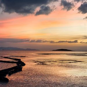 在风起的夜晚想你