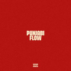 PUNJABI FLOW