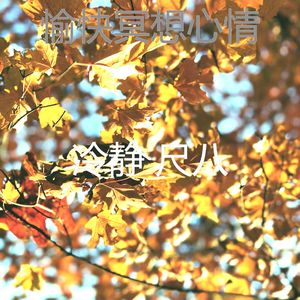 温和松弛梦想