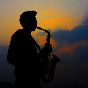 山丹丹开花红艳艳 (萨克斯版)