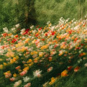 Before spring ends (Piano ver.)