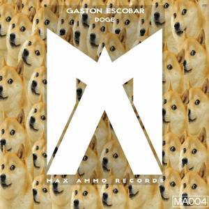 Doge