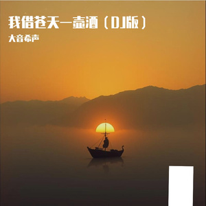 我借苍天一壶酒（DJ版）