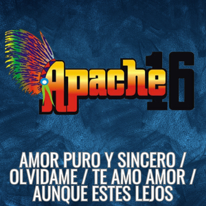 Amor Puro y Sincero / Olvidame / Te Amo Amor / Aunque Estes Lejos